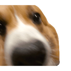 Bocon_20260319205452