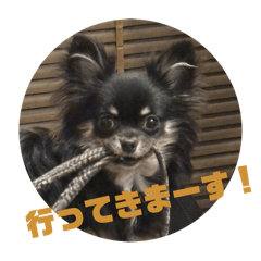 masapyon_20260320114453