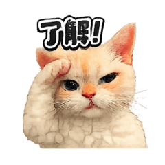 Tasorine_20260320115354