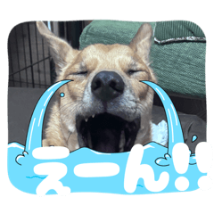 rakusuta_20260320115552