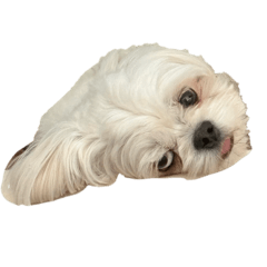 ponemi_20260320111659