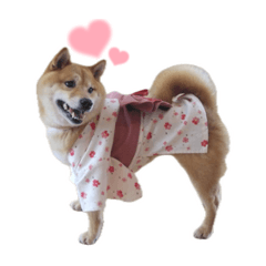 yuchin_20260320115107