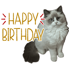 haruka_20260320115909