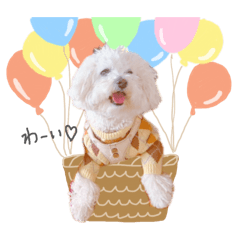 Chikapi_20260317144646