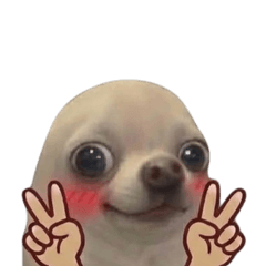 naughty dog dog-pro max