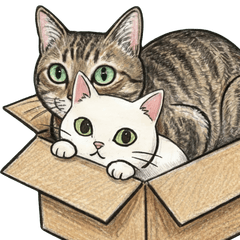 mimi&miumiu:顔芸デカ顔猫の激しいツッコミ