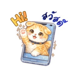 Kom Cat: Talk Talk TH/EN