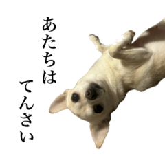 natuming3_20260320050005