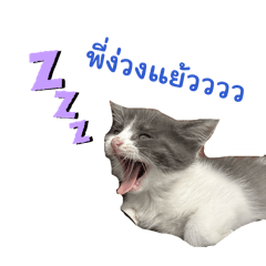 Duckling.01_20260320113657