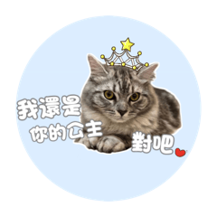 可愛糰糰の日常