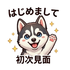 Tieshi-JAPAN_20260317111310