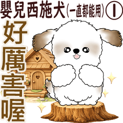 台湾語を話す動く赤ちゃんシーズー犬 ①