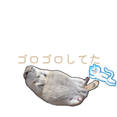 KENTA_20260320133218