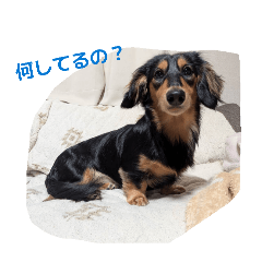 jwagtwd_20260320135034