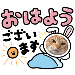 masaki_20260320134940