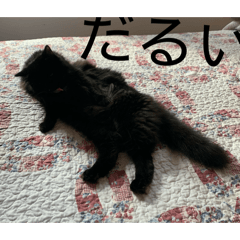 Mitarashi_production_20260317182414