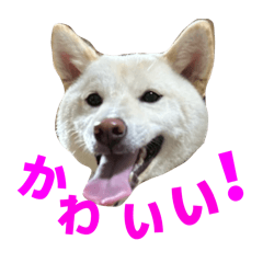 mizuki_20260317180449