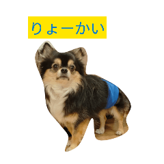 otako_20260320133507