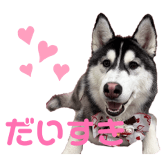 Konatsu_20260320140104