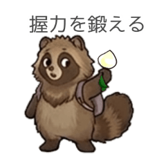 The Raccoon Who Invests