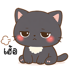 แมวน้อยตากลมพาสเทล น่ารัก