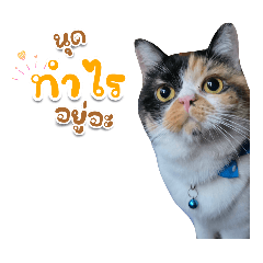 sanim the Troublemaker v.1