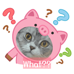 Mindpuncharoen_20260319203036