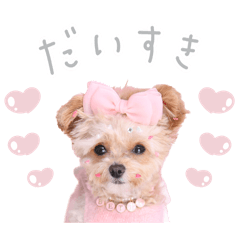 Rechel_20260320231639