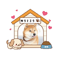 Kana_20260320175752