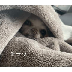 kiran_20260320174506