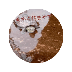 Kana_20260320193734