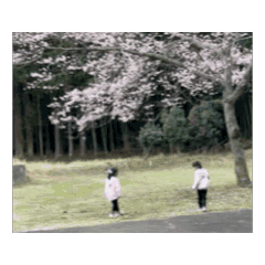 yuka_20260321023950