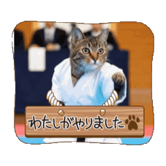 bibi&moca_20260321082206