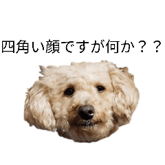 iwata iwao_20260320144104