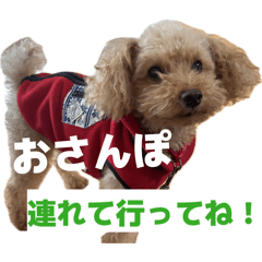 Boitsu TV_20260320143003