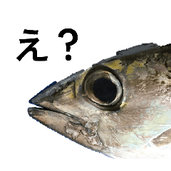 TAKUMI_20260320144307