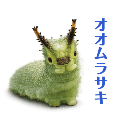 AKAFUJI_20260317221210