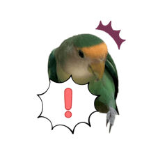 Mirai_20260320144117