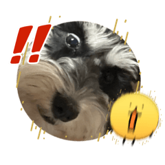 chura_20260320145120