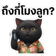 Songkran Legends: Orange & Black Cat Duo