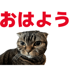 otochan_20260320150403