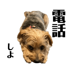 sarao_20260320161452