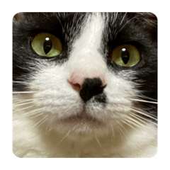 Misaki_20260320161042