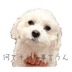 HANAO_20260320180114