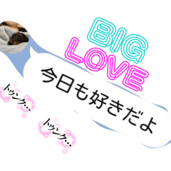 ichi_20260317224142