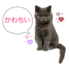 kanako_20260320151158