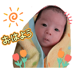 Ichihimama_20260320170652