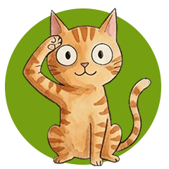 Fluffy the Orange  Cat