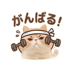 ta_shi_20260320192454