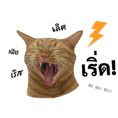 charola_20260320174444